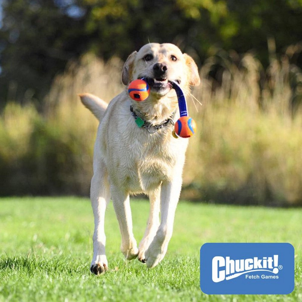 Chuckit! Ultra Duo Tug - 2 Bälle mit Schlaufe - Apportierspielzeug Zerrspielzeug