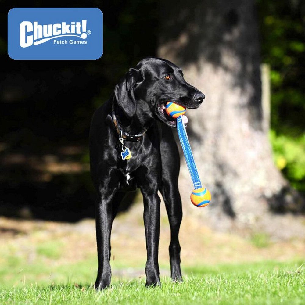 Chuckit! Ultra Duo Tug - 2 Bälle mit Schlaufe - Apportierspielzeug Zerrspielzeug