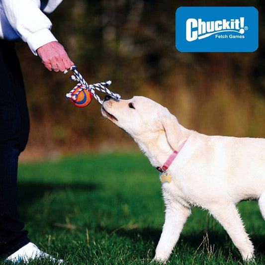 Chuckit! Ultra Toss - Ball mit Seil - Apportierspielzeug Wurfseil Zerrspielzeug