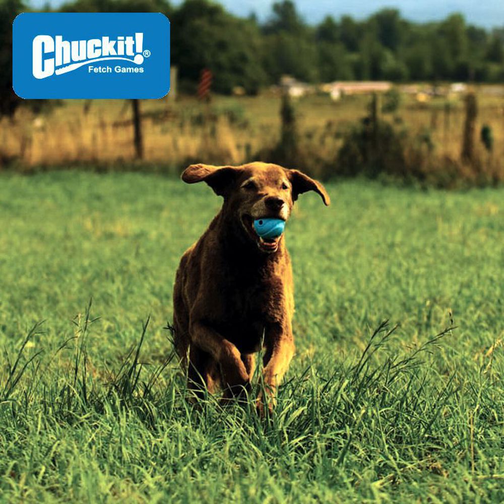 Chuckit! Strato Ball - Apportierspielzeug Hundespielzeug Gummiball - springt gut