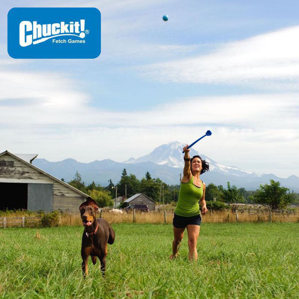 Chuckit! Strato Ball - Apportierspielzeug Hundespielzeug Gummiball - springt gut
