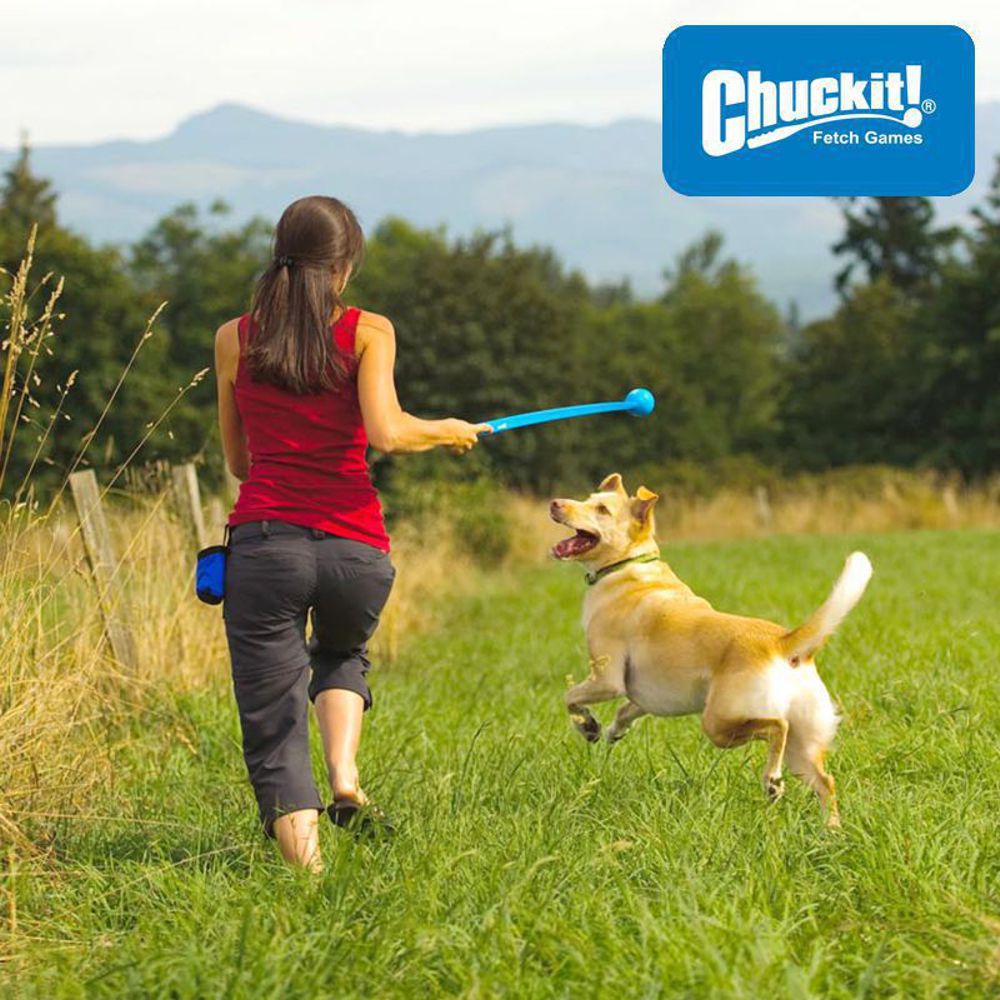 Chuckit! Strato Ball - Apportierspielzeug Hundespielzeug Gummiball - springt gut