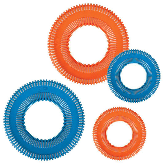 Chuckit! Rugged Flyer - Apportierspielzeug Hundespielzeug Frisbee Wurfscheibe