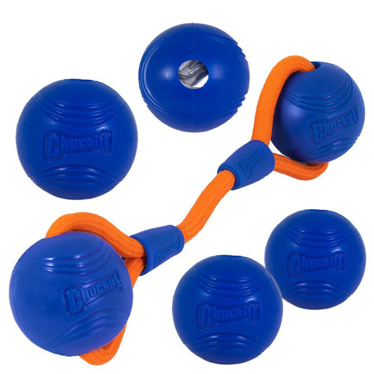 Chuckit! Super Crunch Ball - Apportierspielzeug Hundespielzeug - knistert knarrt