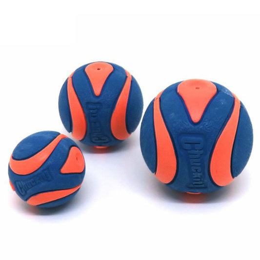 Chuckit! Ultra Squeaker Ball - Apportierspielzeug Hundespielzeug mit Quietschie