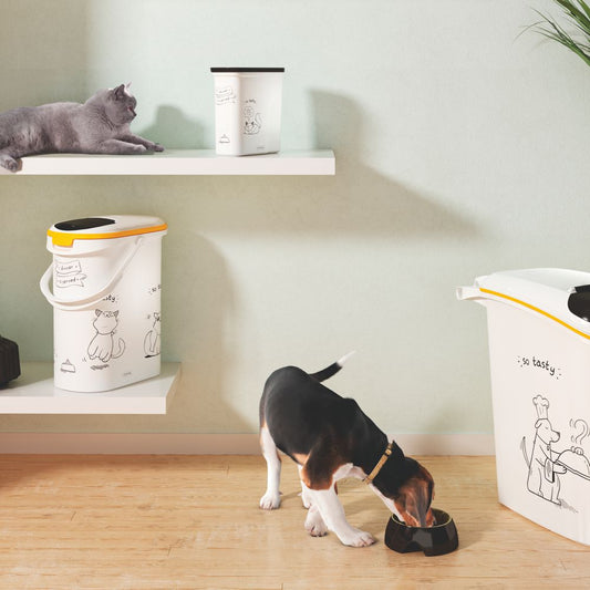 Curver Futterbox - 2 ltr / 1 kg - Snack Behälter Container Dose für Katzen