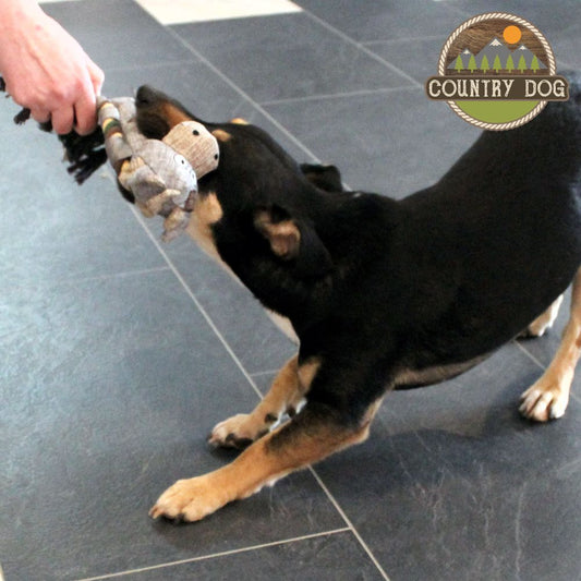Country Dog Hundespielzeug - Leinen Kuscheltier Spielzeug mit Quitscher Seil