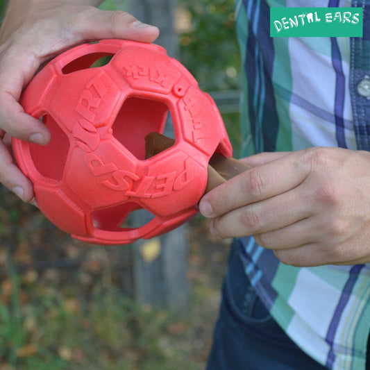 Dental Ears Hundesnack - Zahnpflege-Ohren natürliches Kauleckerli gesunde Snacks