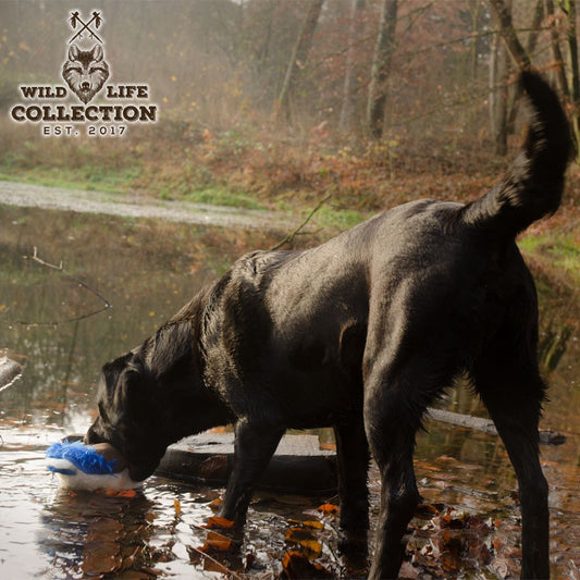 Wild Life Hundespielzeug - Plüsch Kuscheltier - Spielzeug mit Quitscher & Seil