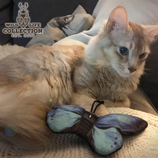 Wild Life Catnip-Katzenspielzeug - Fisch Vogel Schmetterling - mit Katzenminze