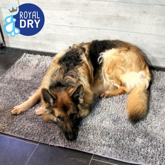 Royal Dry Hundematte S/M/L - Schlafplatz Fußmatte Napfunterlage Schutzfangmatte