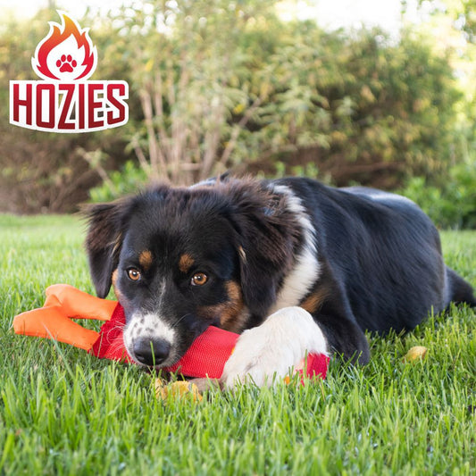 Hozies Apportierspielzeug - Feuerwehrschlauch extra stark schwimmt mit Squeaker