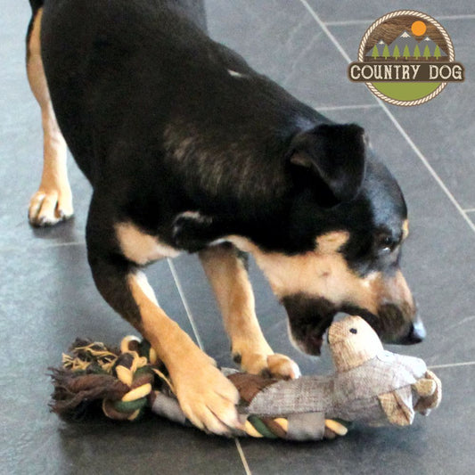 Country Dog Tiny Welpen Hundespielzeug - Leinen Kuscheltier mit Quitscher Seil