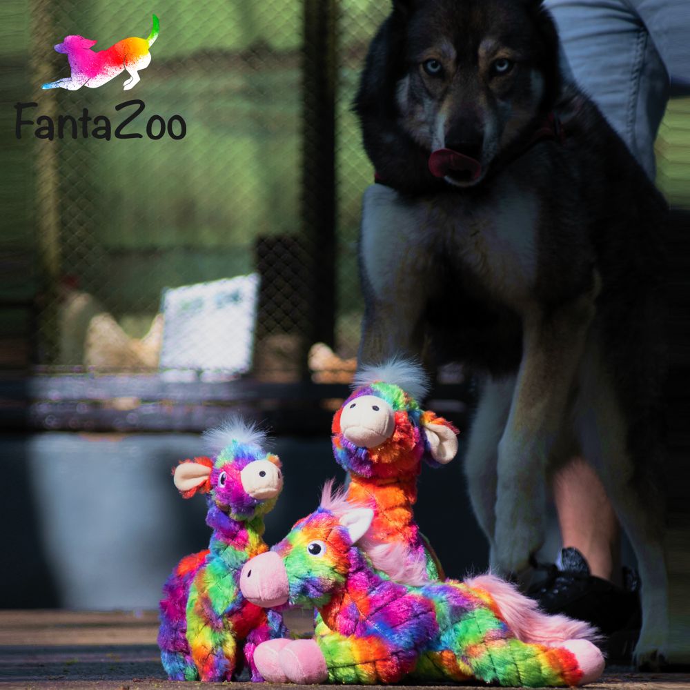 FantaZoo Hundespielzeug - Plüsch Kuscheltier Plüschtier Spielzeug mit Quitscher