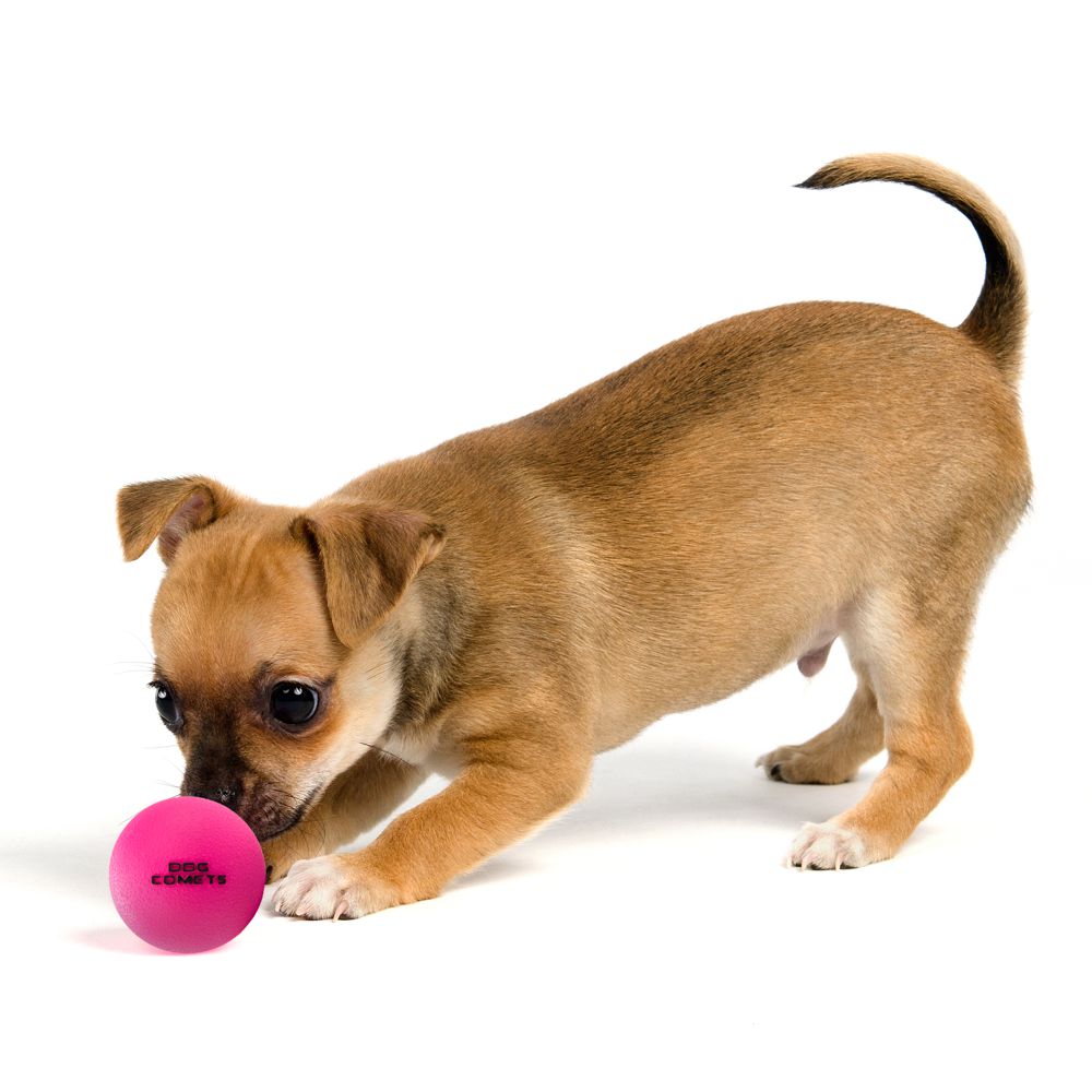 Dog Comets STARDUST BALL - S/M/L - Naturkautschuk-Ball - robust springt schwimmt