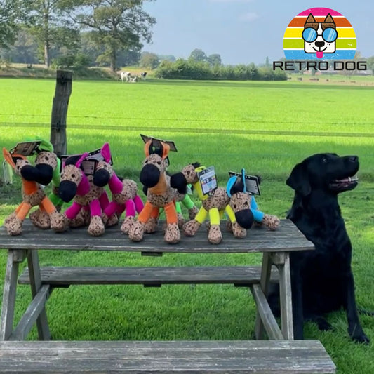 Retro Dog Donkey Hundespielzeug - Esel - Kuscheltier Plüschtier mit Quitscher