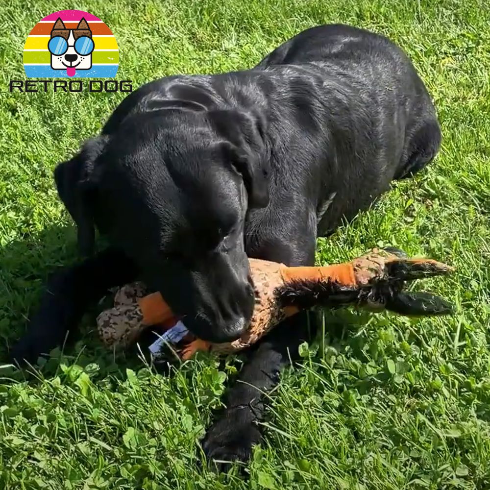 Retro Dog Donkey Hundespielzeug - Esel - Kuscheltier Plüschtier mit Quitscher