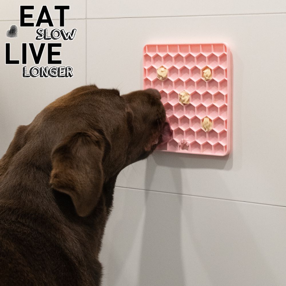 EAT SLOW LIVE LONGER Schleckmatte - Silikon - Leckmatte - Anti-Schlingmatte
