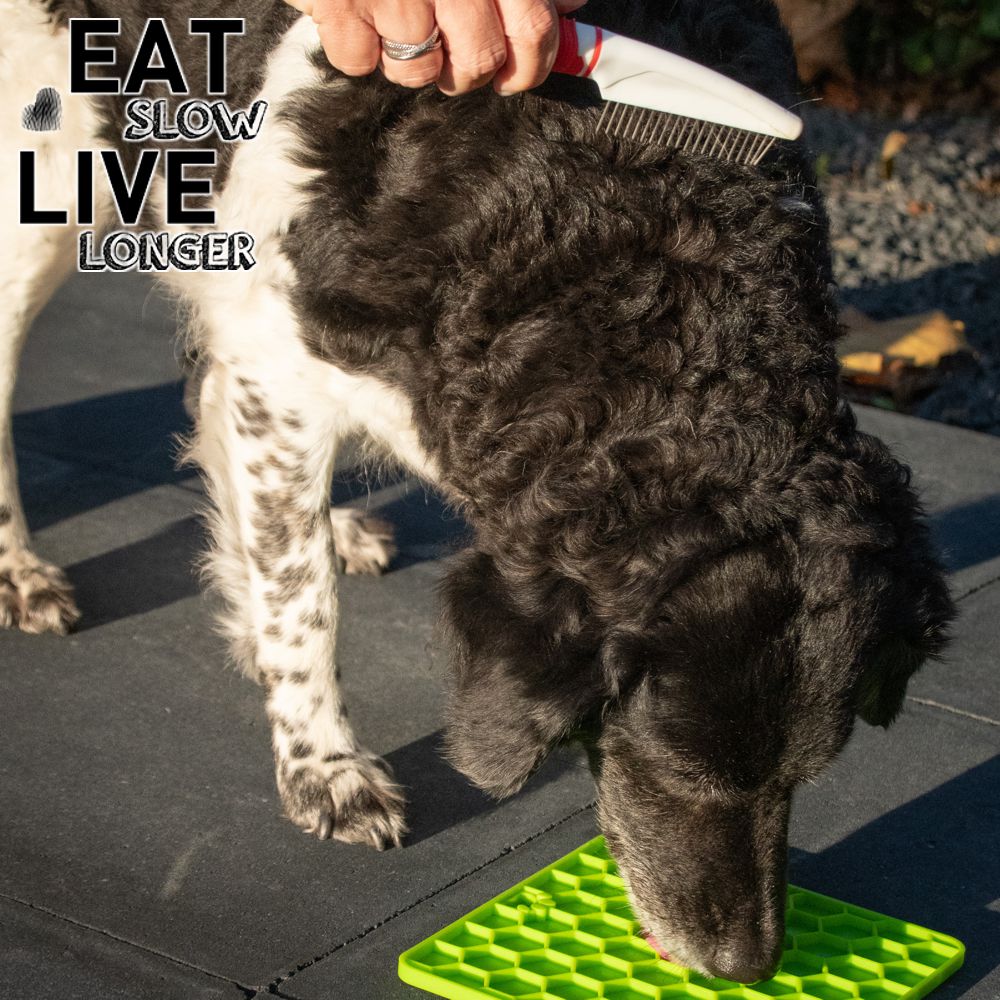 EAT SLOW LIVE LONGER Schleckmatte - Silikon - Leckmatte - Anti-Schlingmatte
