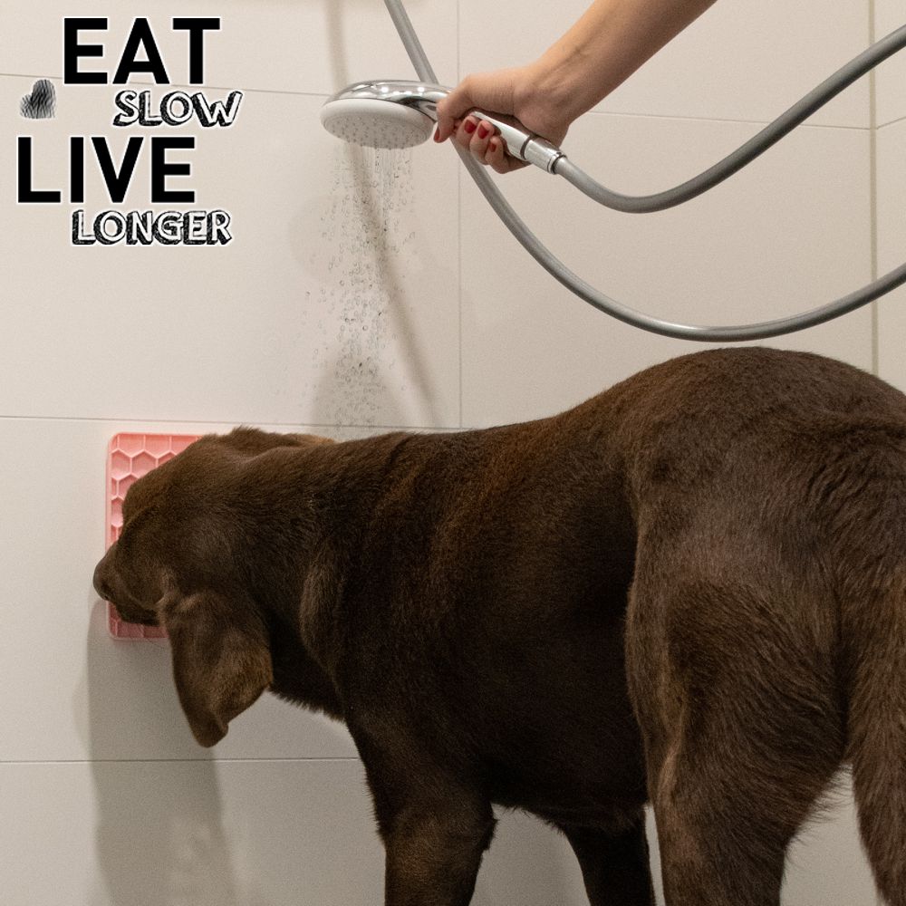 EAT SLOW LIVE LONGER Schleckmatte - Silikon - Leckmatte - Anti-Schlingmatte