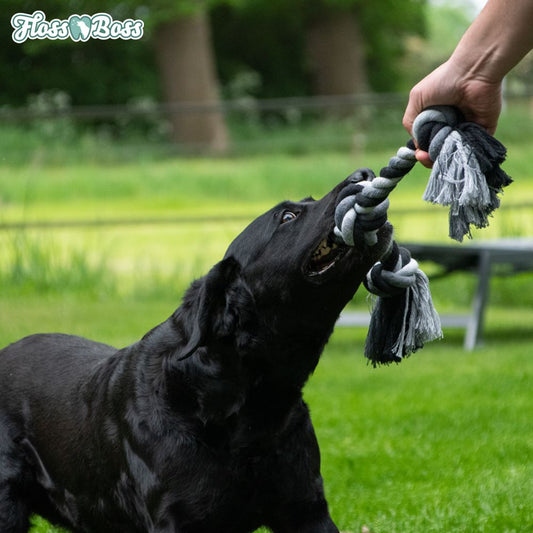 Floss Boss Knotenseil - Baumwoll-Seil Zerrspiel Spieltau Kauseil Wurfspiel