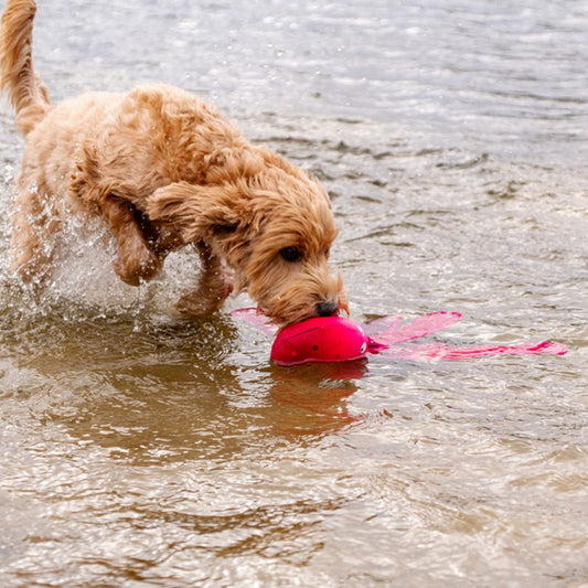 Dog Comets ALIEN OCTO - Oktopus - Apportierspielzeug mit Squeaker Knisterfolie