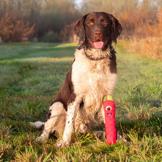 Dog Comets INVADERS - Apportierspielzeug - Plüsch Stick - knistert - quietscht