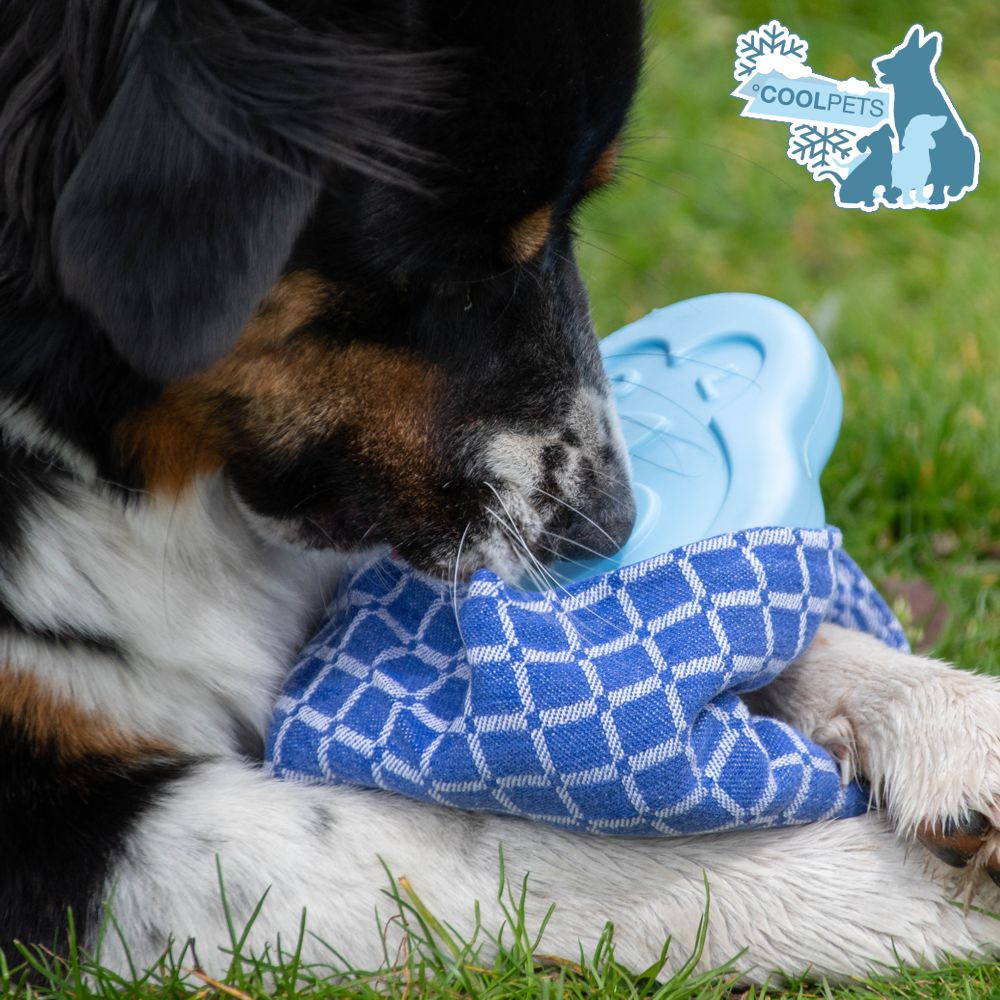 CoolPets Cooling Ice Pinguin - Kühlelement für Hunde und Nager - Eis - Kühlakku