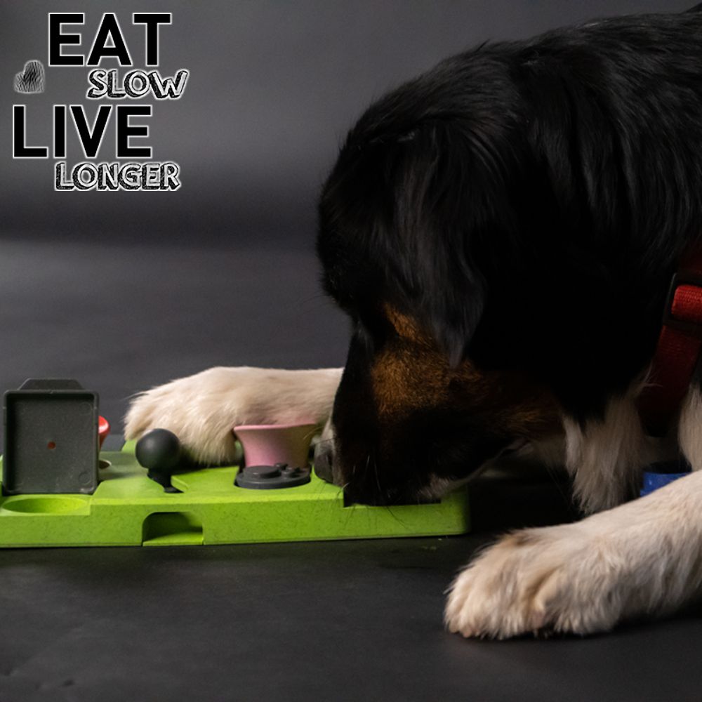 EAT SLOW Intelligenzspielzeug TRIANGLE - Brettspiel Denkspiel Snackspielzeug