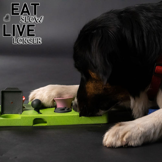 EAT SLOW Intelligenzspielzeug TRIANGLE - Brettspiel Denkspiel Snackspielzeug