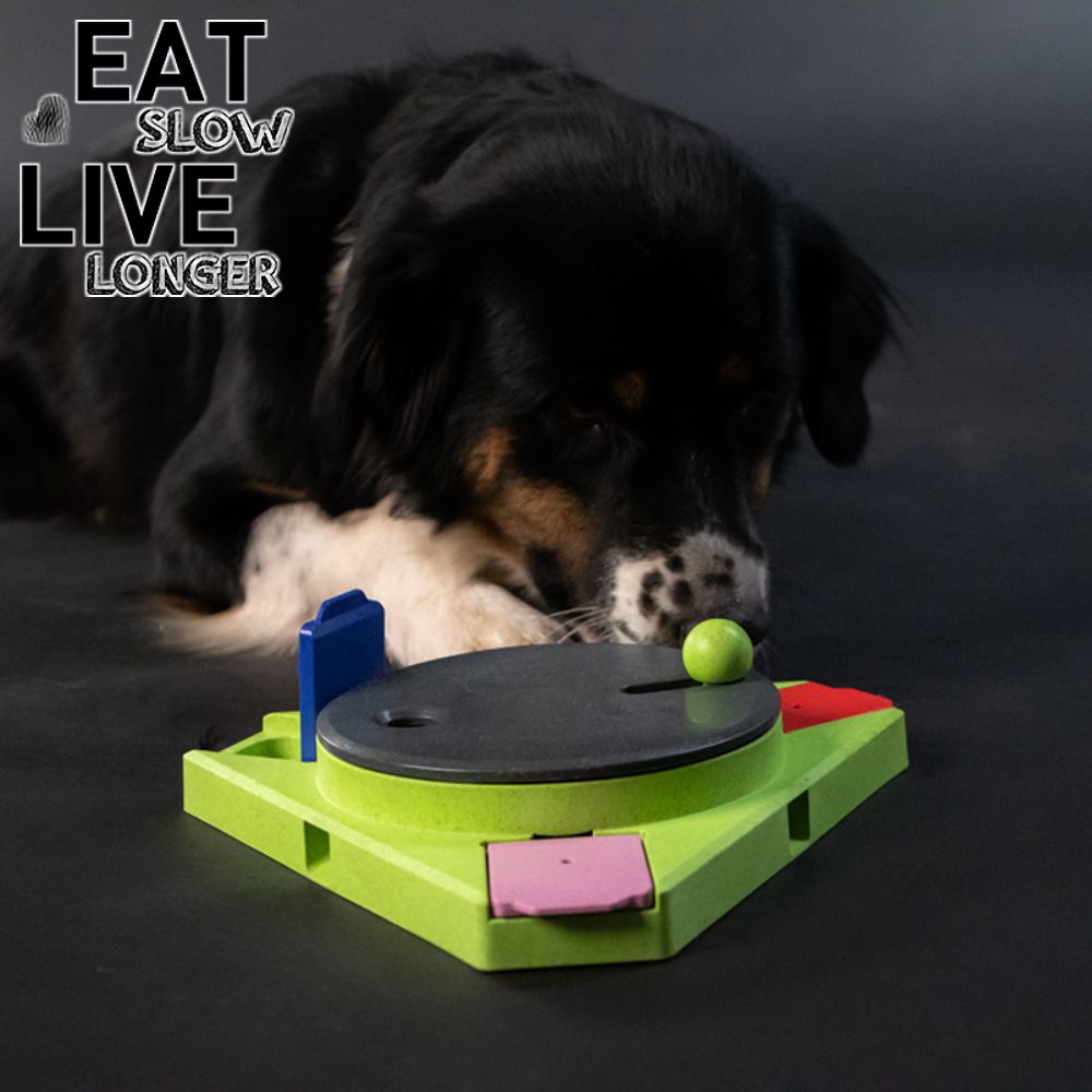 EAT SLOW Intelligenzspielzeug TRIANGLE - Brettspiel Denkspiel Snackspielzeug