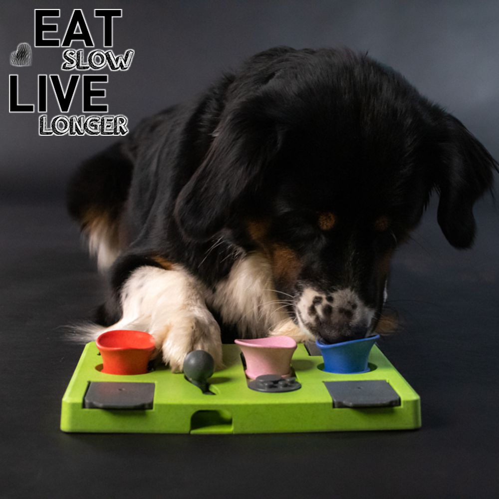 EAT SLOW Intelligenzspielzeug RECTANGLE - Brettspiel Denkspiel Snackspielzeug