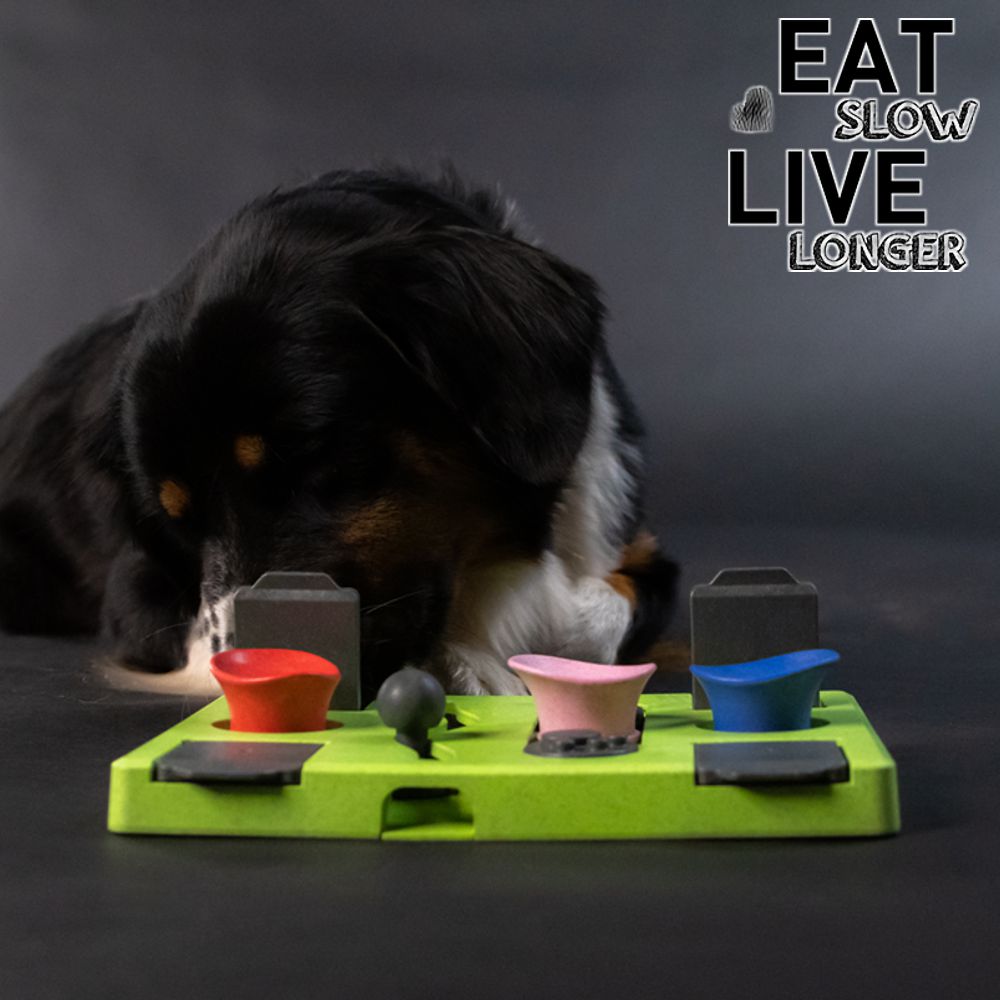 EAT SLOW Intelligenzspielzeug RECTANGLE - Brettspiel Denkspiel Snackspielzeug