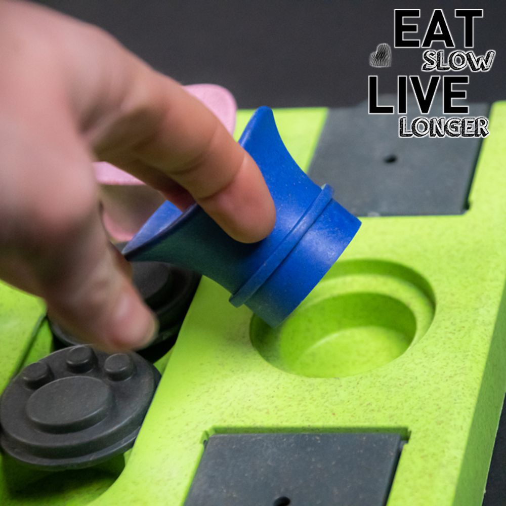 EAT SLOW Intelligenzspielzeug RECTANGLE - Brettspiel Denkspiel Snackspielzeug