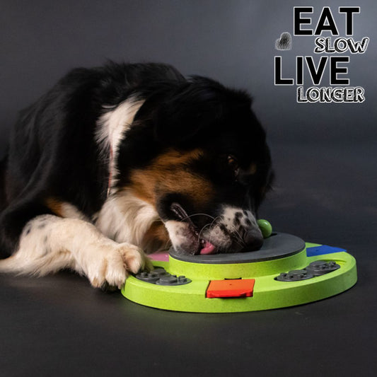 EAT SLOW Intelligenzspielzeug CIRCLE - Brettspiel Denkspiel Snackspielzeug