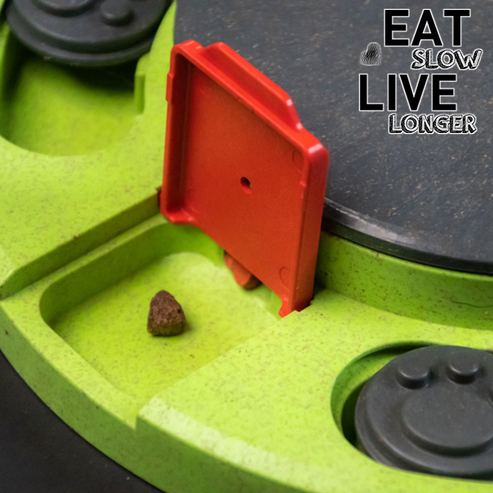 EAT SLOW Intelligenzspielzeug CIRCLE - Brettspiel Denkspiel Snackspielzeug