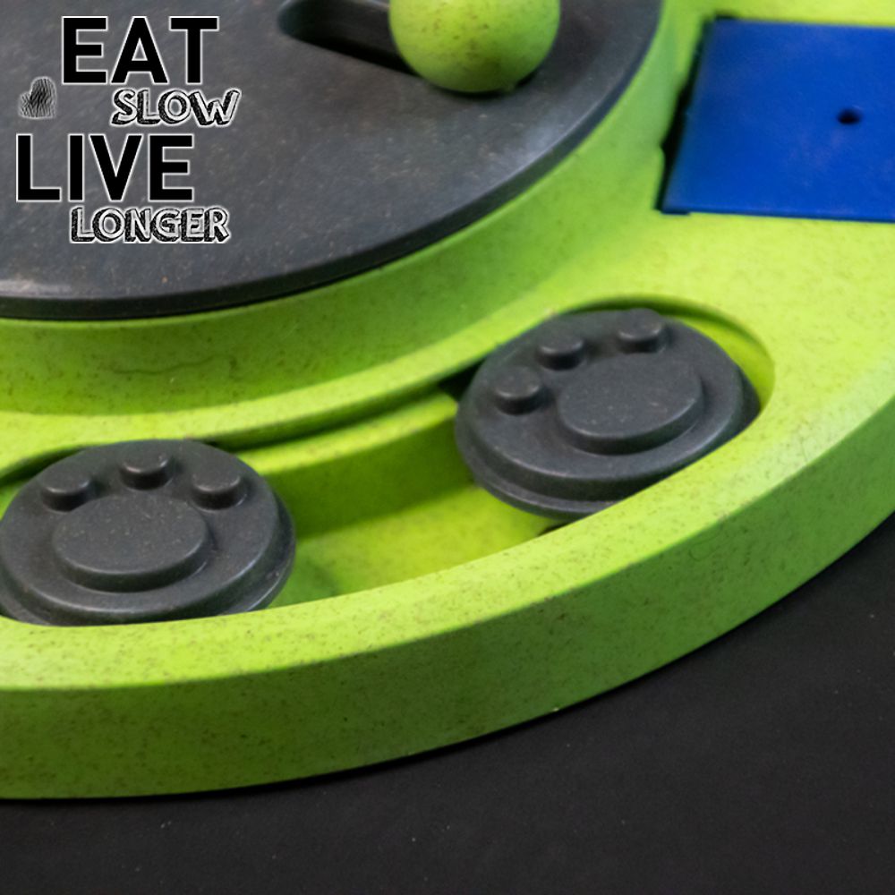 EAT SLOW Intelligenzspielzeug CIRCLE - Brettspiel Denkspiel Snackspielzeug