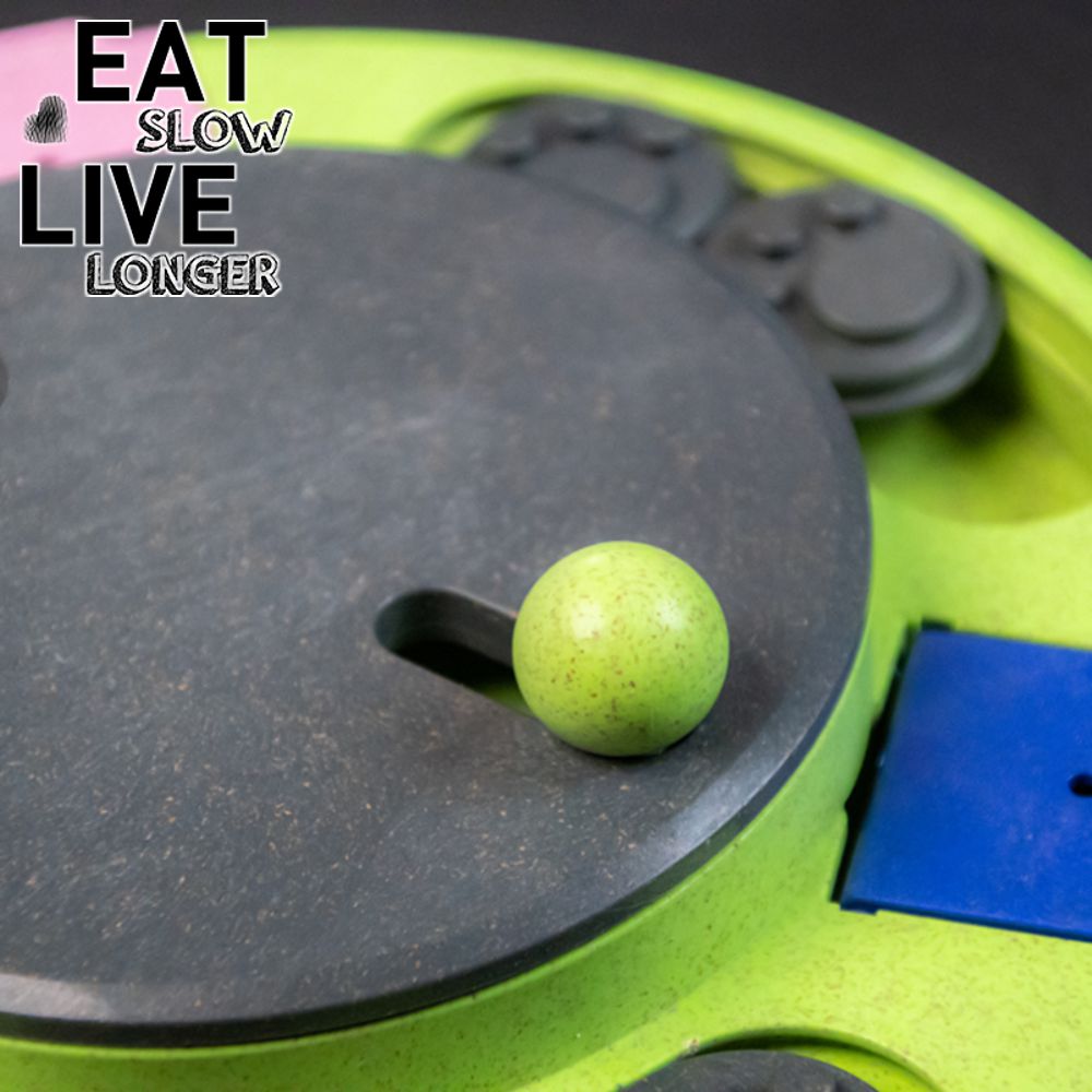 EAT SLOW Intelligenzspielzeug CIRCLE - Brettspiel Denkspiel Snackspielzeug