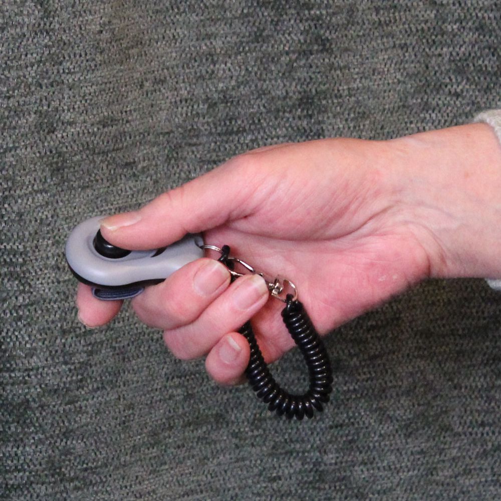 Excellent Pets Clicker - Hund Katze Pferd - Klicker für Training und Erziehung