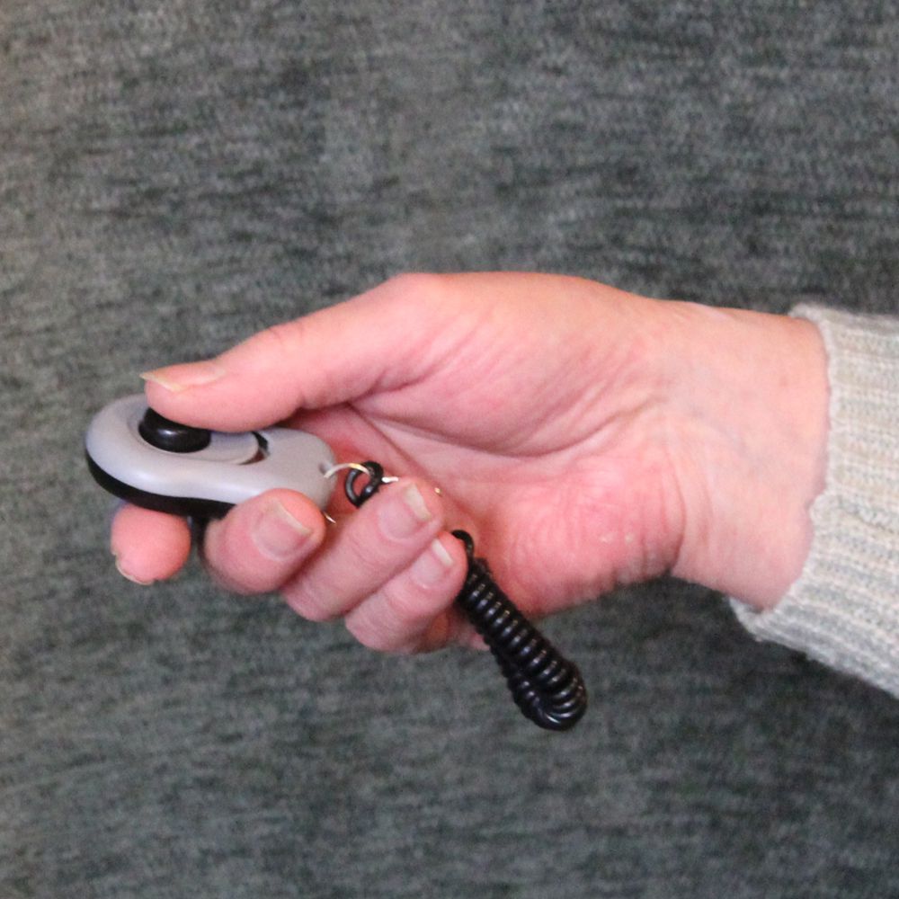 Excellent Pets Clicker - Hund Katze Pferd - Klicker für Training und Erziehung