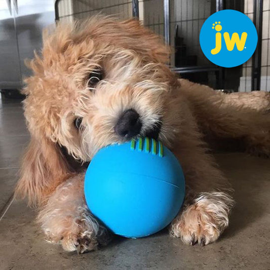 JW Isqueak Ball - S/M/L - Apportierspielzeug Hundespielzeug mit Quietschie