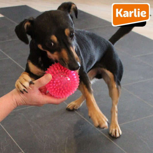 Karlie Ball SPIKE - Hundespiel Apportierspiel Spielzeug TPR Igelball Gummiball