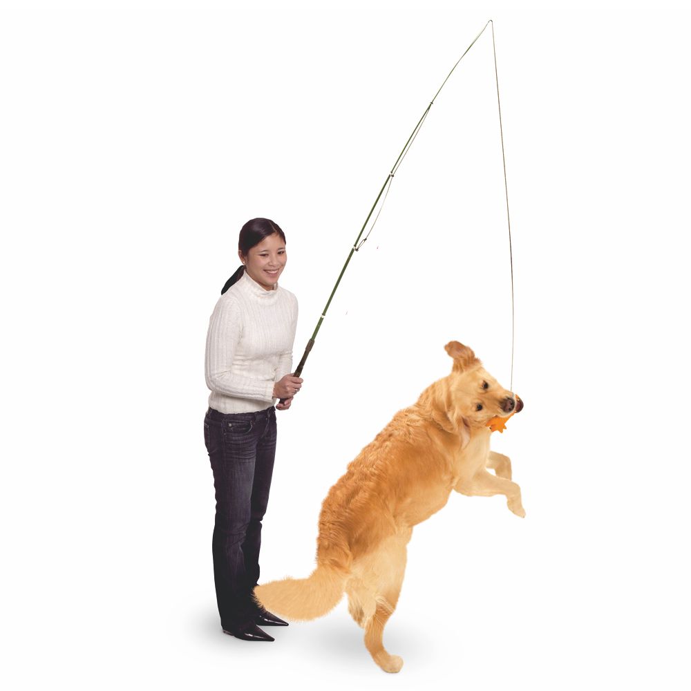 Karlie Trainingsangel DOG DANGLER - Hunde Spielangel Reizangel Indoor & Outdoor