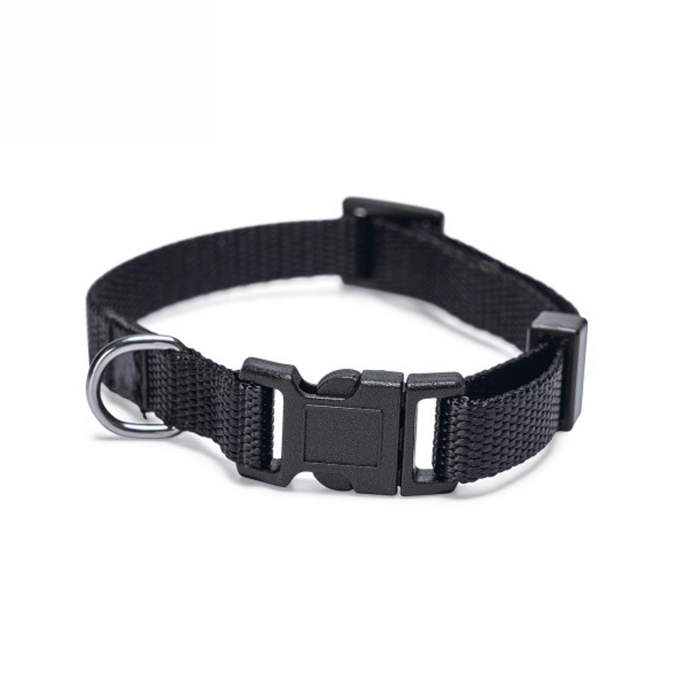 Karlie Welpen Nylon-Halsband - 5 Farben - Welpenhalsband für kleine Hunde Puppy