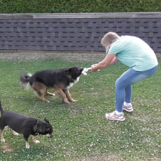 Karlie Knotenseil 30 cm lang - weiß - Baumwoll-Seil Zerrspiel Spielseil Kauseil