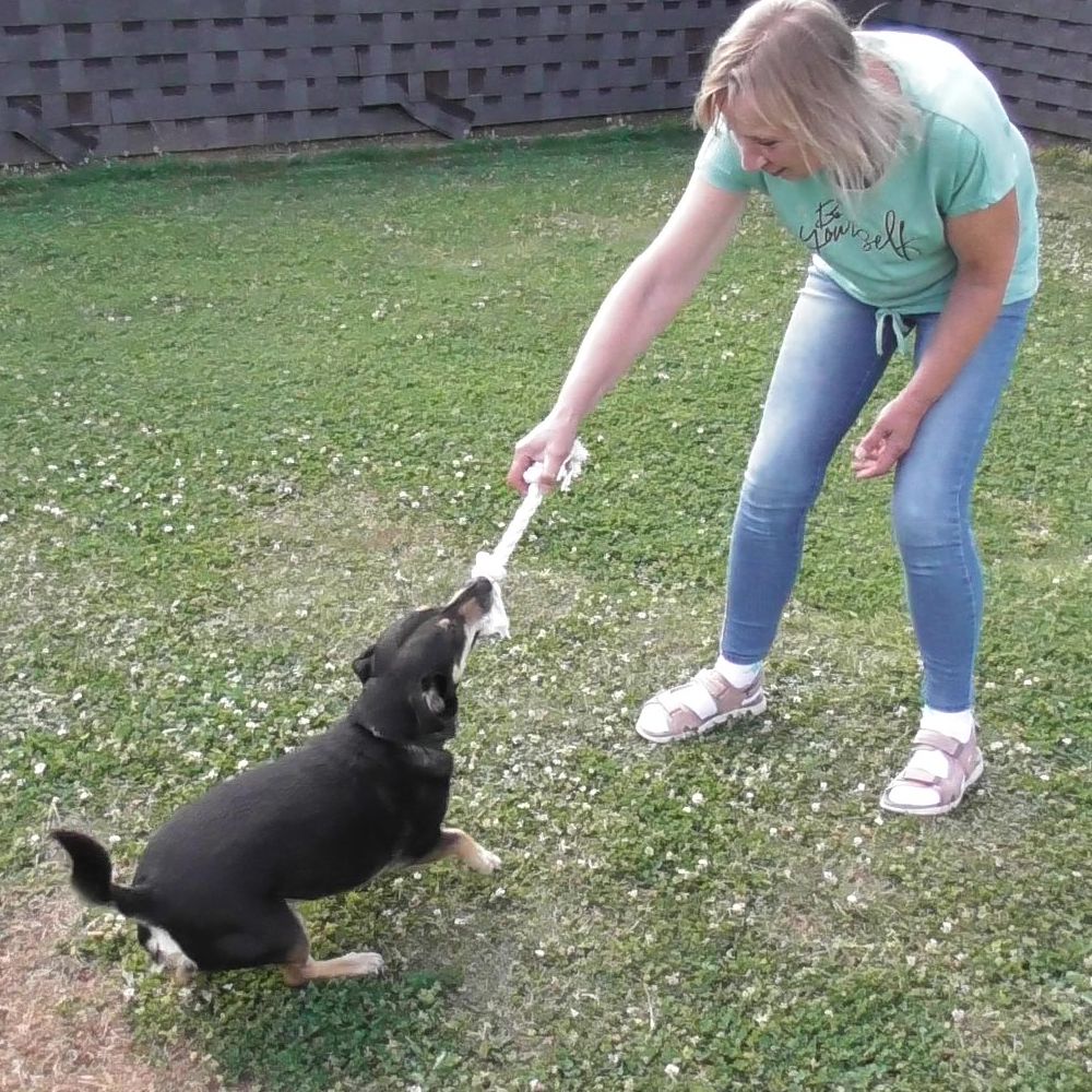 Karlie Knotenseil 30 cm lang - weiß - Baumwoll-Seil Zerrspiel Spielseil Kauseil