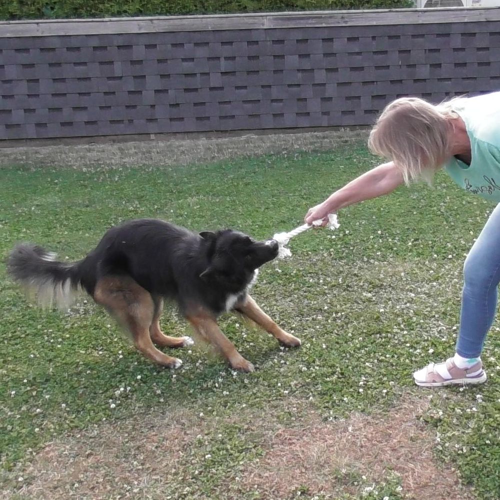 Karlie Knotenseil 30 cm lang - weiß - Baumwoll-Seil Zerrspiel Spielseil Kauseil