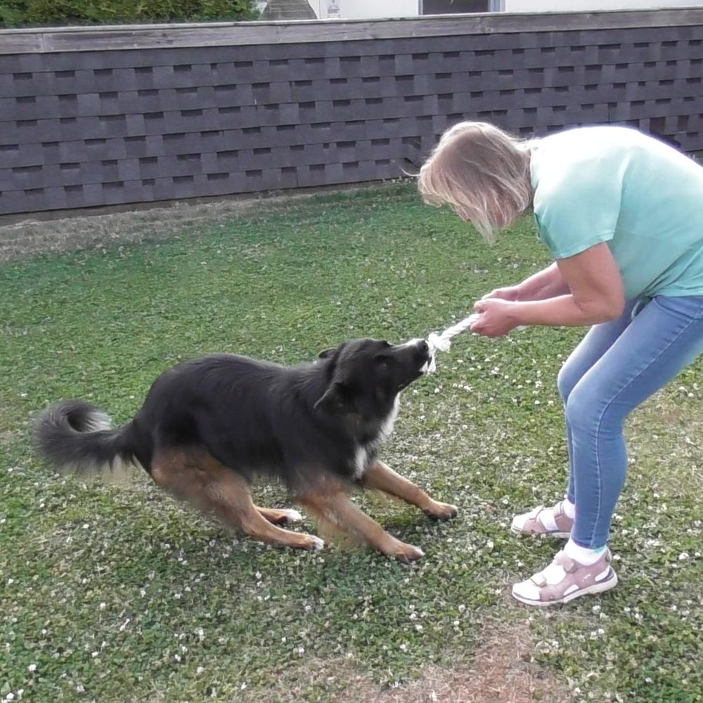 Karlie Knotenseil 30 cm lang - weiß - Baumwoll-Seil Zerrspiel Spielseil Kauseil