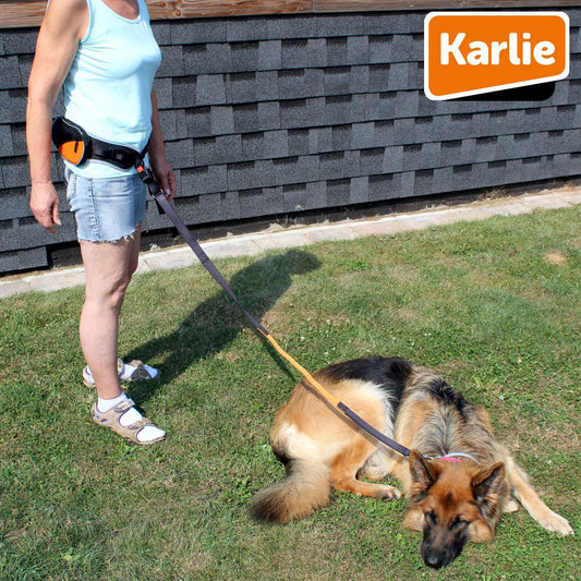 Karlie CaniCross Easy Joggingleine mit Tasche Walkingleine Sportleine elastisch