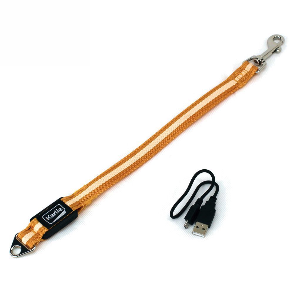 Karlie LED Leinenverlängerung VISIO - blau orange - Leuchtleine Gurt Hundeleine